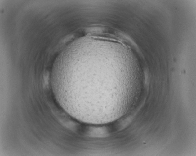 X0000079320073200612081944