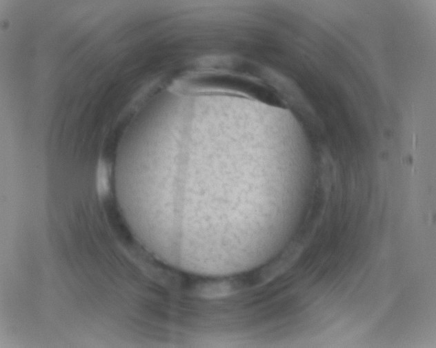 X0000079320075200612081945