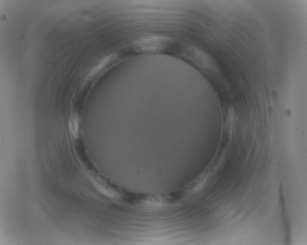 X0000079320076200612081945