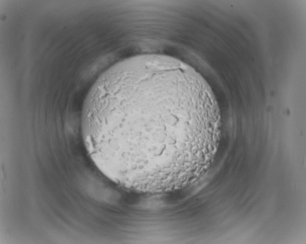 X0000079320078200612081945