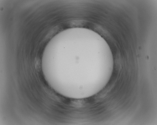 X0000079320079200612081945