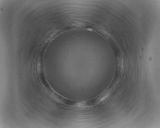 X0000079320080200612081945