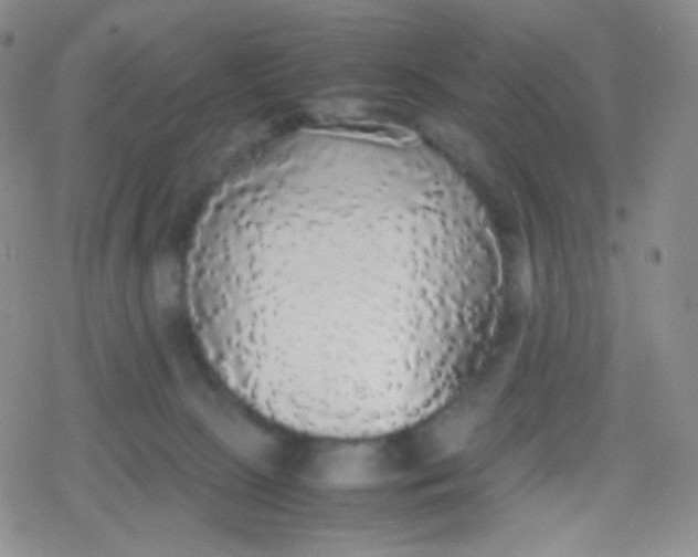 X0000079320081200612081945