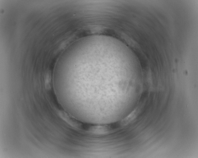 X0000079320082200612081945