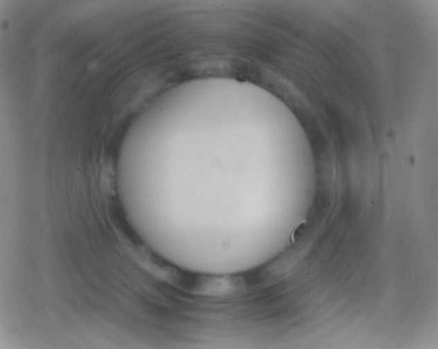 X0000079320083200612081945