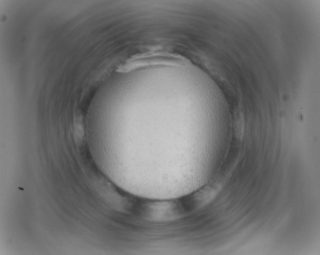 X0000079320085200612081945