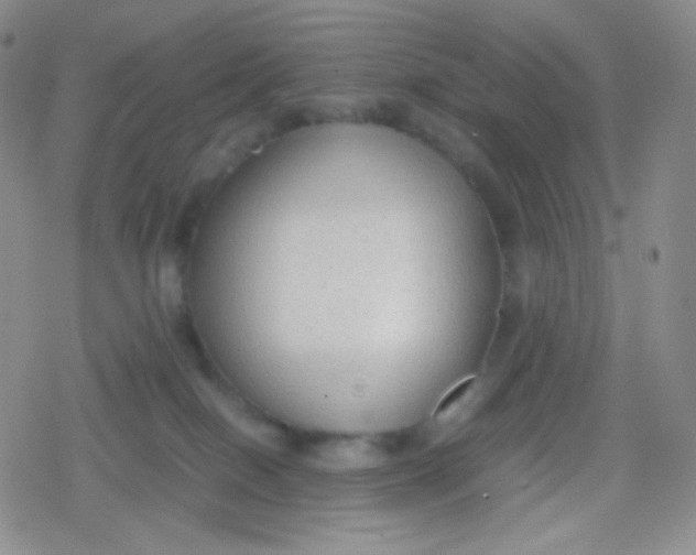 X0000079320086200612081945