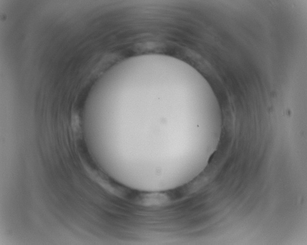 X0000079320087200612081945