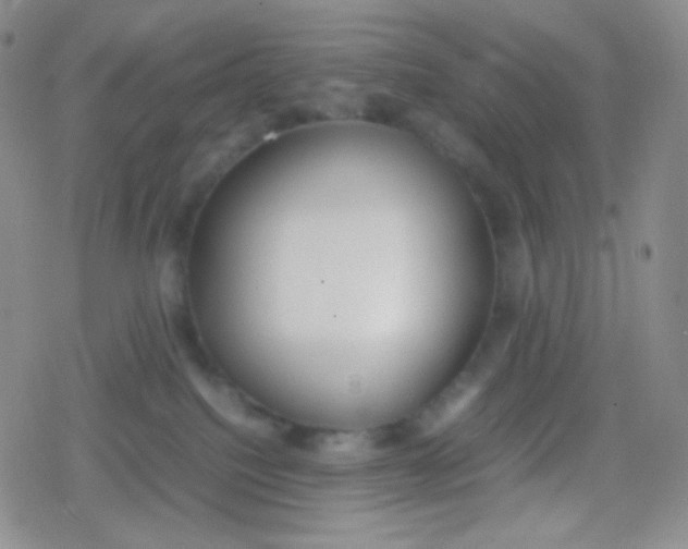 X0000079320088200612081945