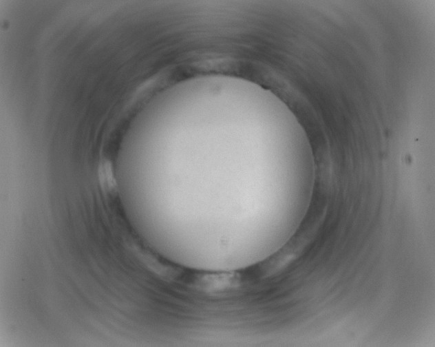 X0000079320089200612081945