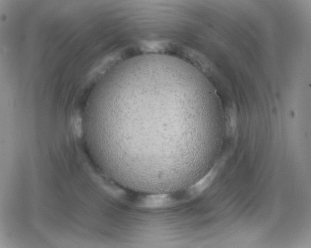 X0000079320090200612081945