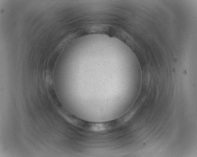 X0000079320091200612081945