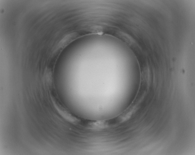 X0000079320092200612081945