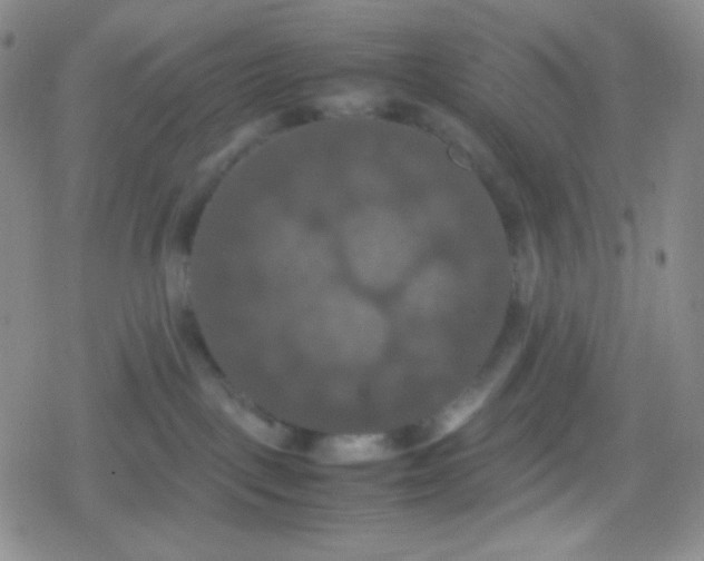 X0000079320093200612081945