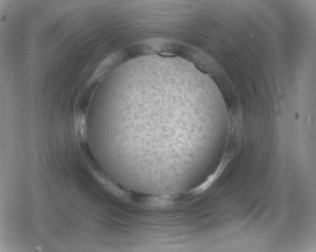 X0000079320094200612081945