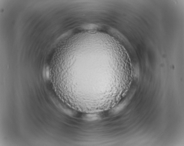 X0000079320095200612081945