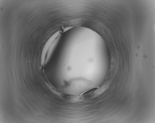 X0000079320096200612081945