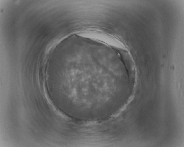 X0000079320097200612081944