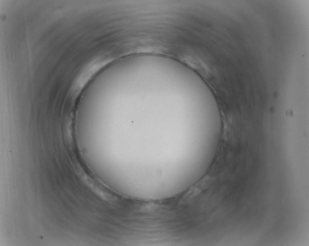 X0000079320098200612081944