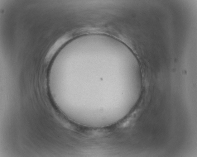 X0000079320103200612081944