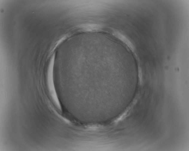 X0000079320105200612081944