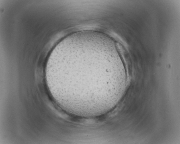 X0000079320107200612081944