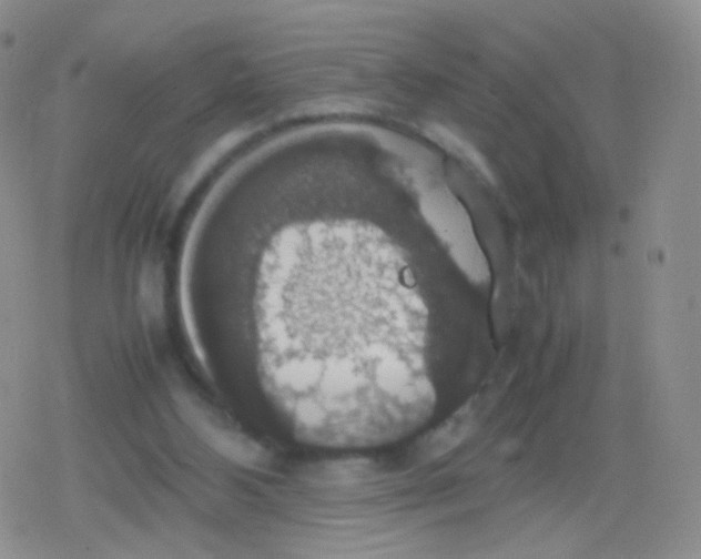 X0000079320108200612081944