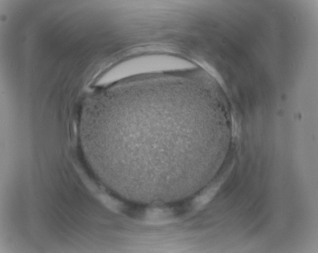 X0000079320109200612081944