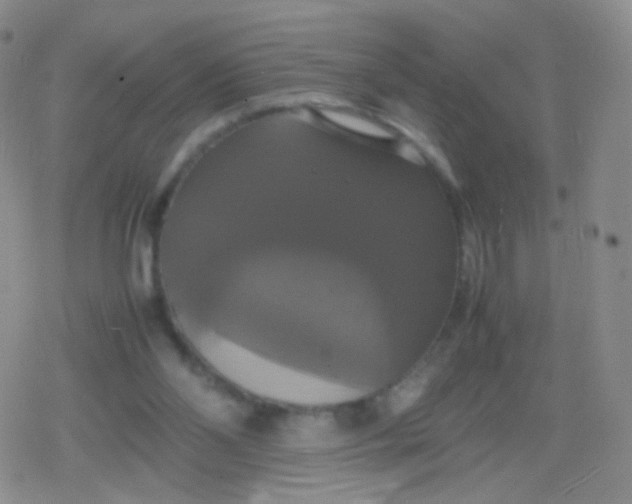 X0000079320110200612081944