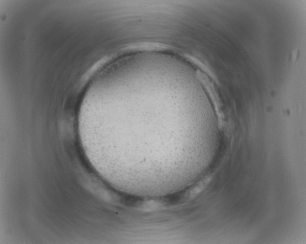 X0000079320111200612081944