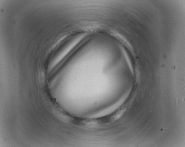 X0000079320113200612081944