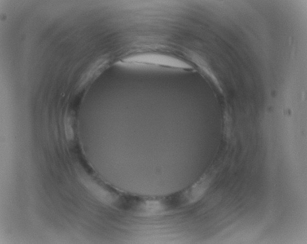 X0000079320114200612081944