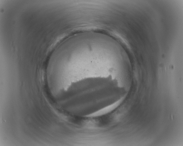 X0000079320115200612081944