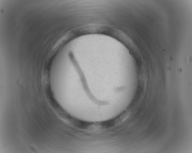 X0000079320119200612081944