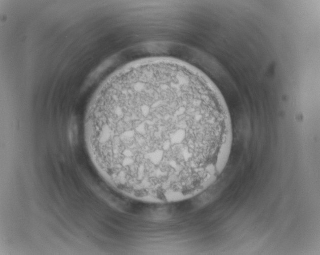 X0000079320120200612081944