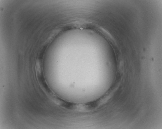 X0000079320121200612081944