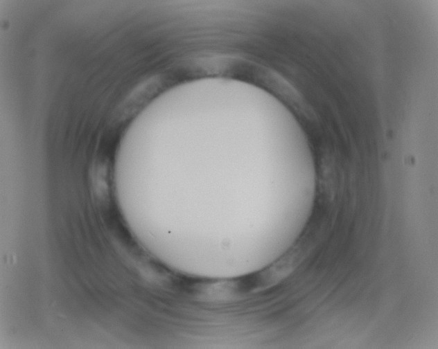 X0000079320122200612081944