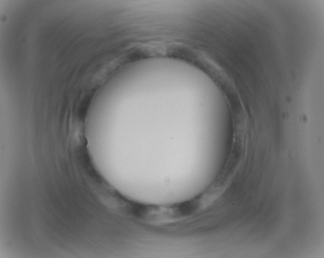 X0000079320125200612081944