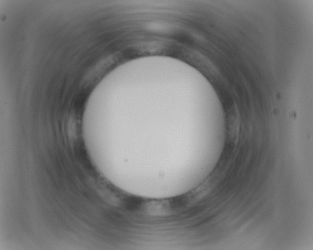 X0000079320126200612081944