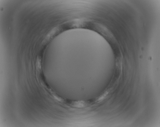 X0000079320127200612081944