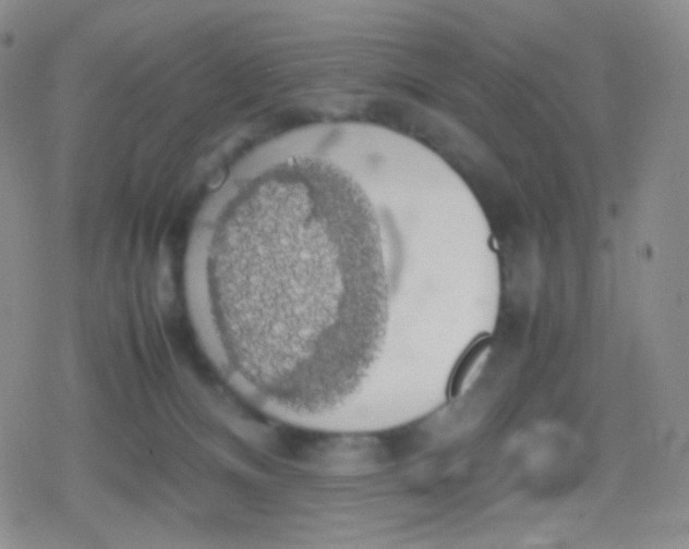 X0000079320128200612081944