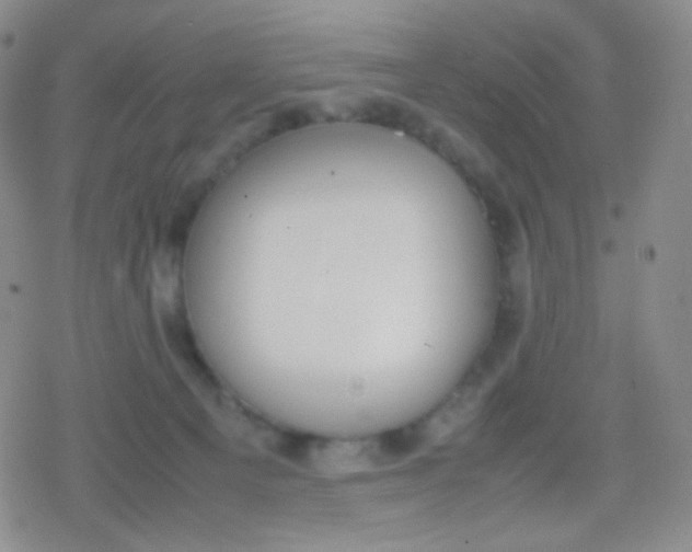 X0000079320129200612081944