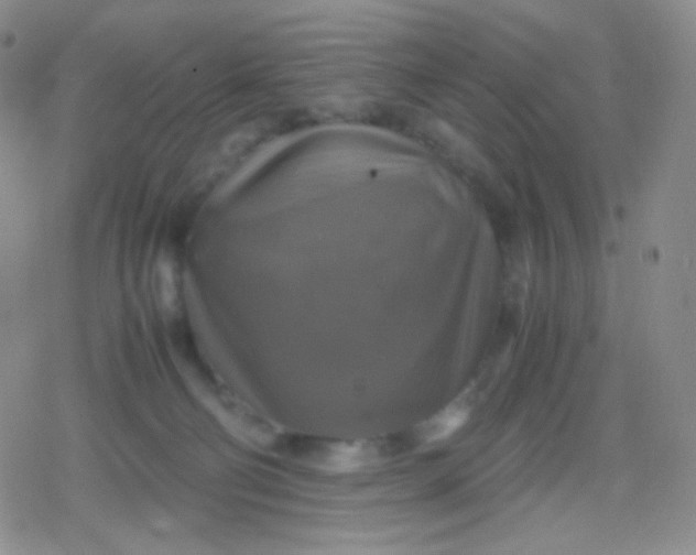 X0000079320130200612081944