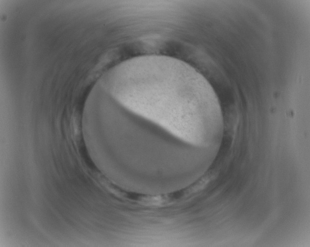 X0000079320131200612081944