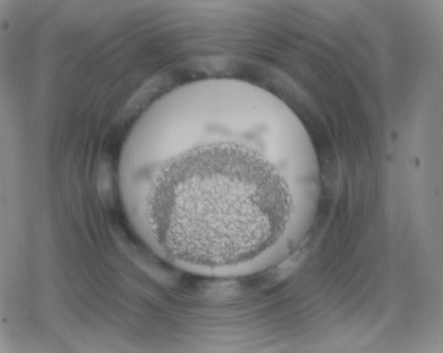 X0000079320132200612081944