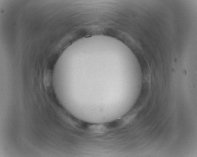 X0000079320133200612081944