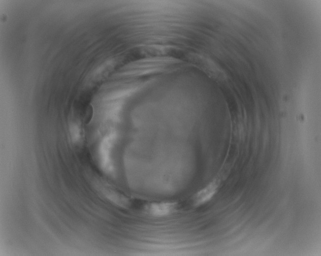 X0000079320134200612081943