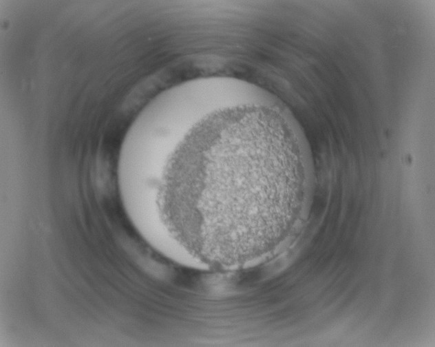 X0000079320136200612081943