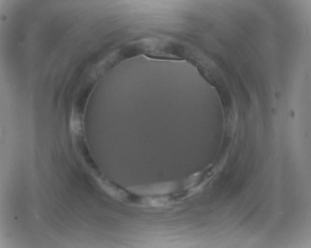 X0000079320137200612081943