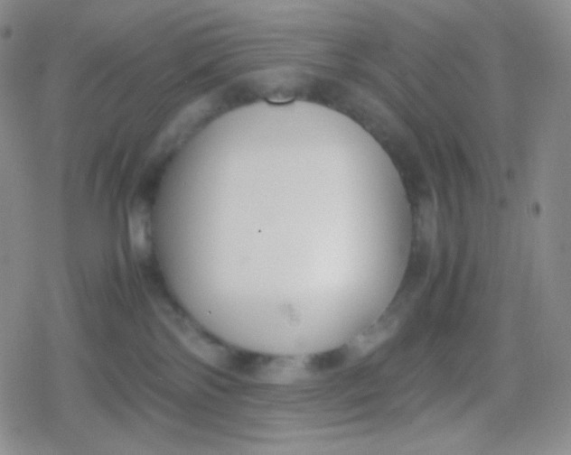 X0000079320138200612081943